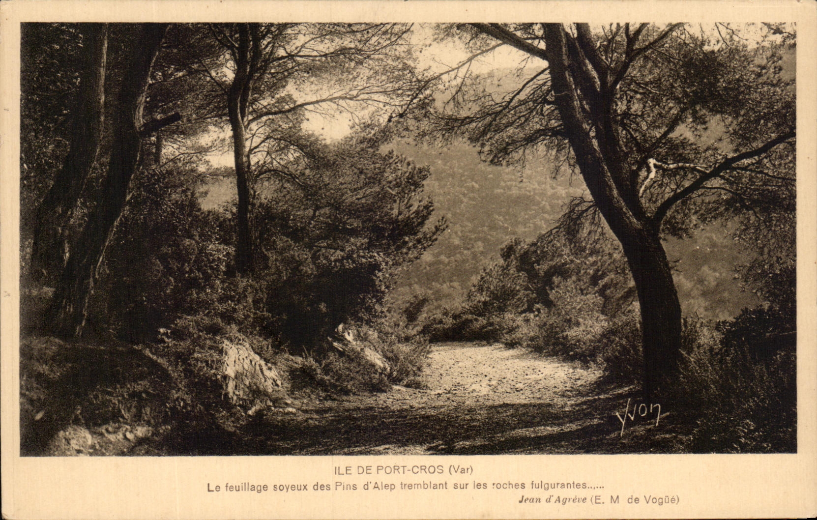 Ile de Port-Cros (Var) — Le feuillage soyeux des Pins d’Alep tremblant sur les roches fulgurantes — Jean d’Agrève (E. M. de Vogüé)