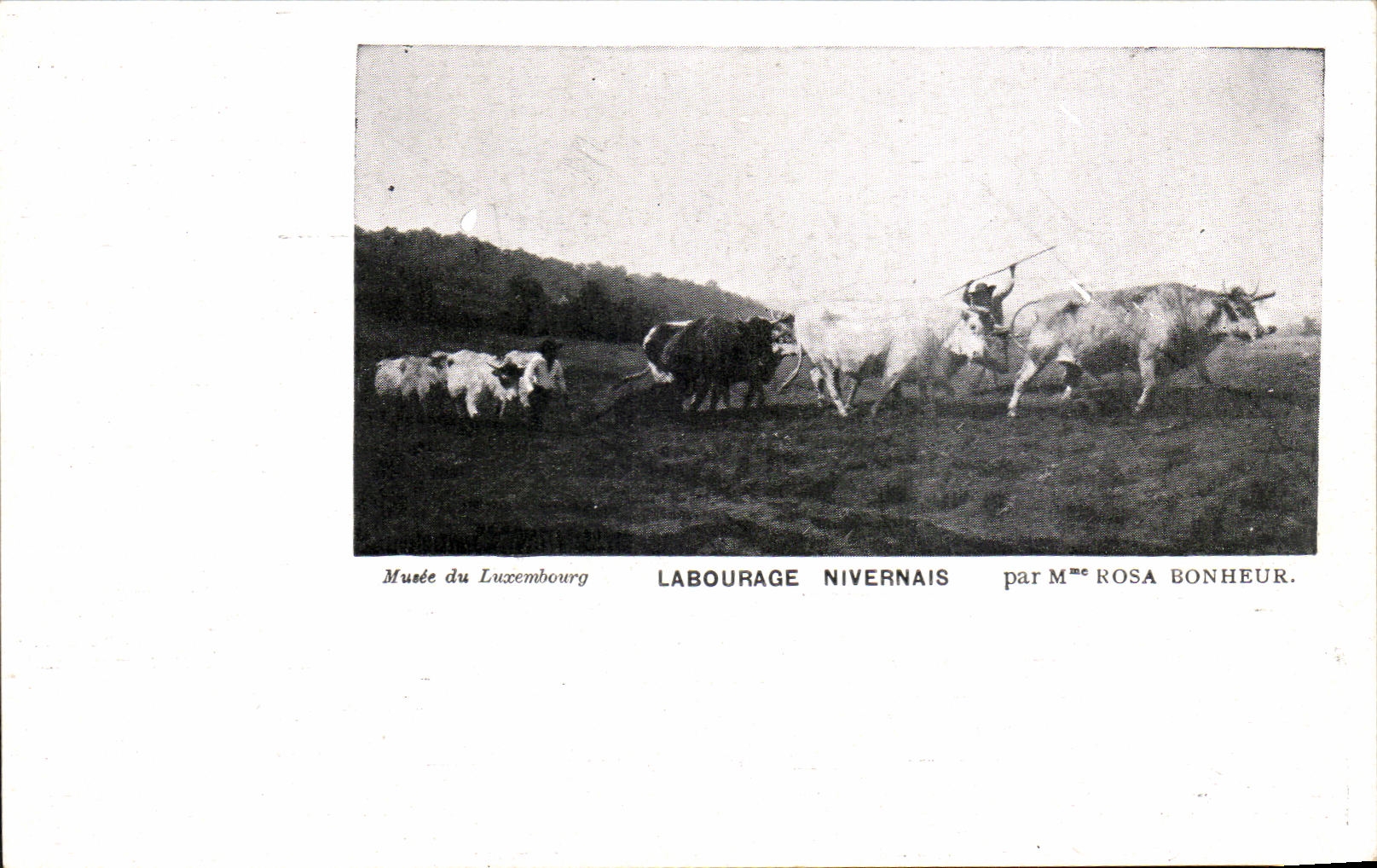 CPA Labourage Nivernais Musee du Luxembourg Paris Rosa Bonheur