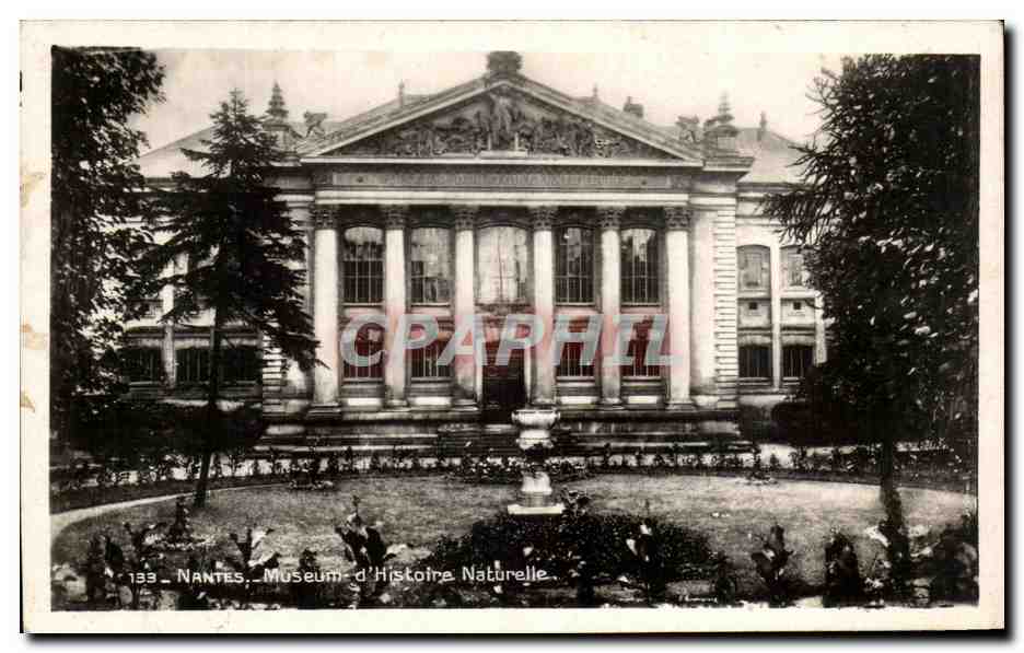 CPA Nantes Museum d'Histoire Naturelle
