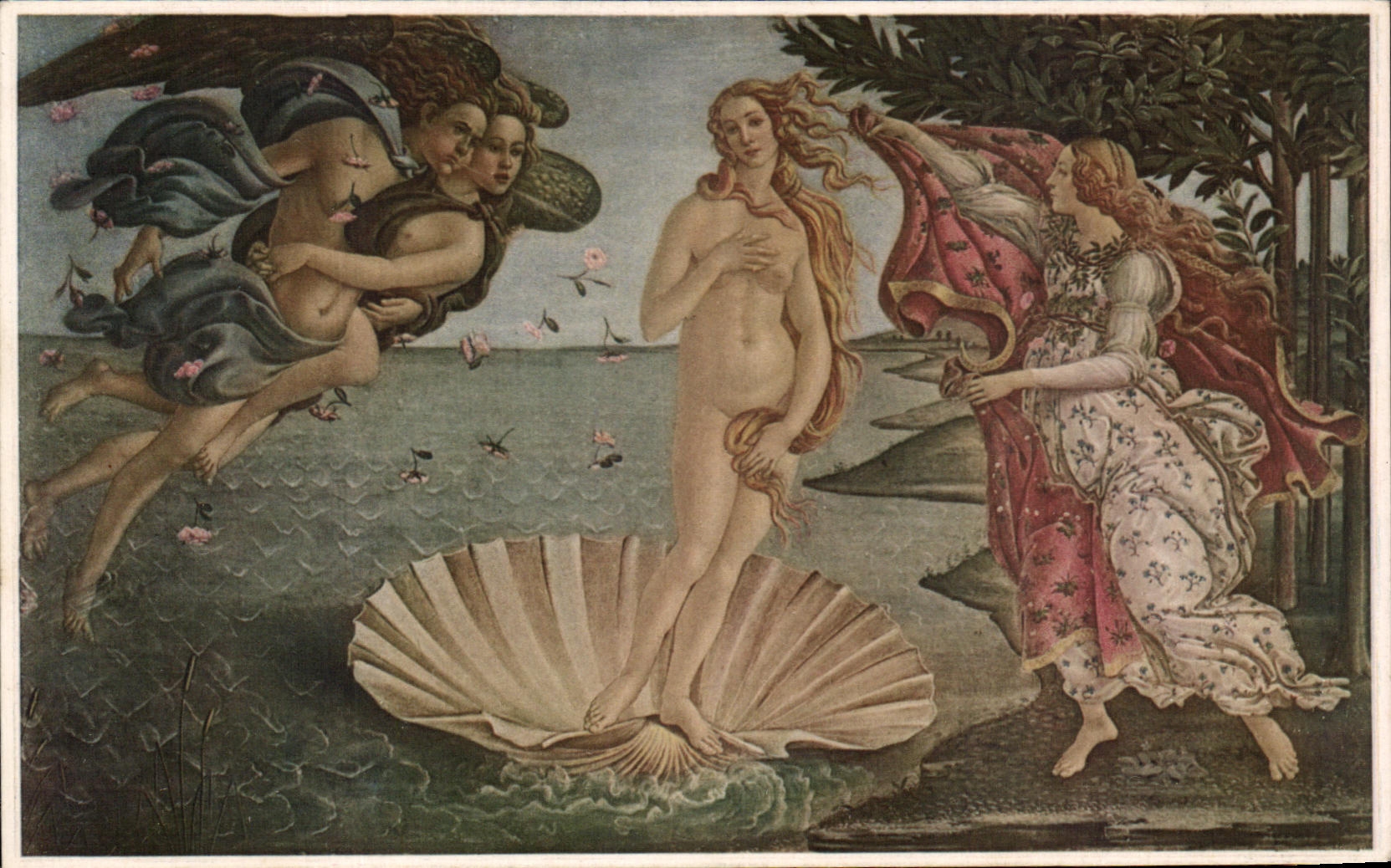 CPA Nasciata di Venere Botticelli Firenze