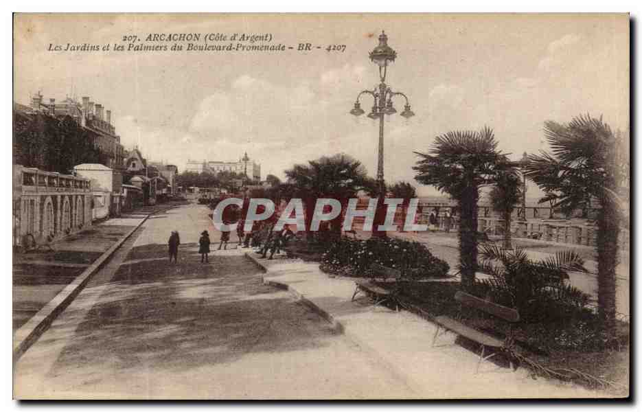 Arcachon (Côte d'Argent) — Les Jardins et les Palmiers du Boulevard-Promenade — BR - 4207