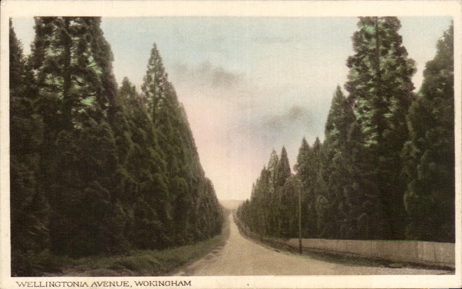 CPA Wellingtonia Avenue Wokingham