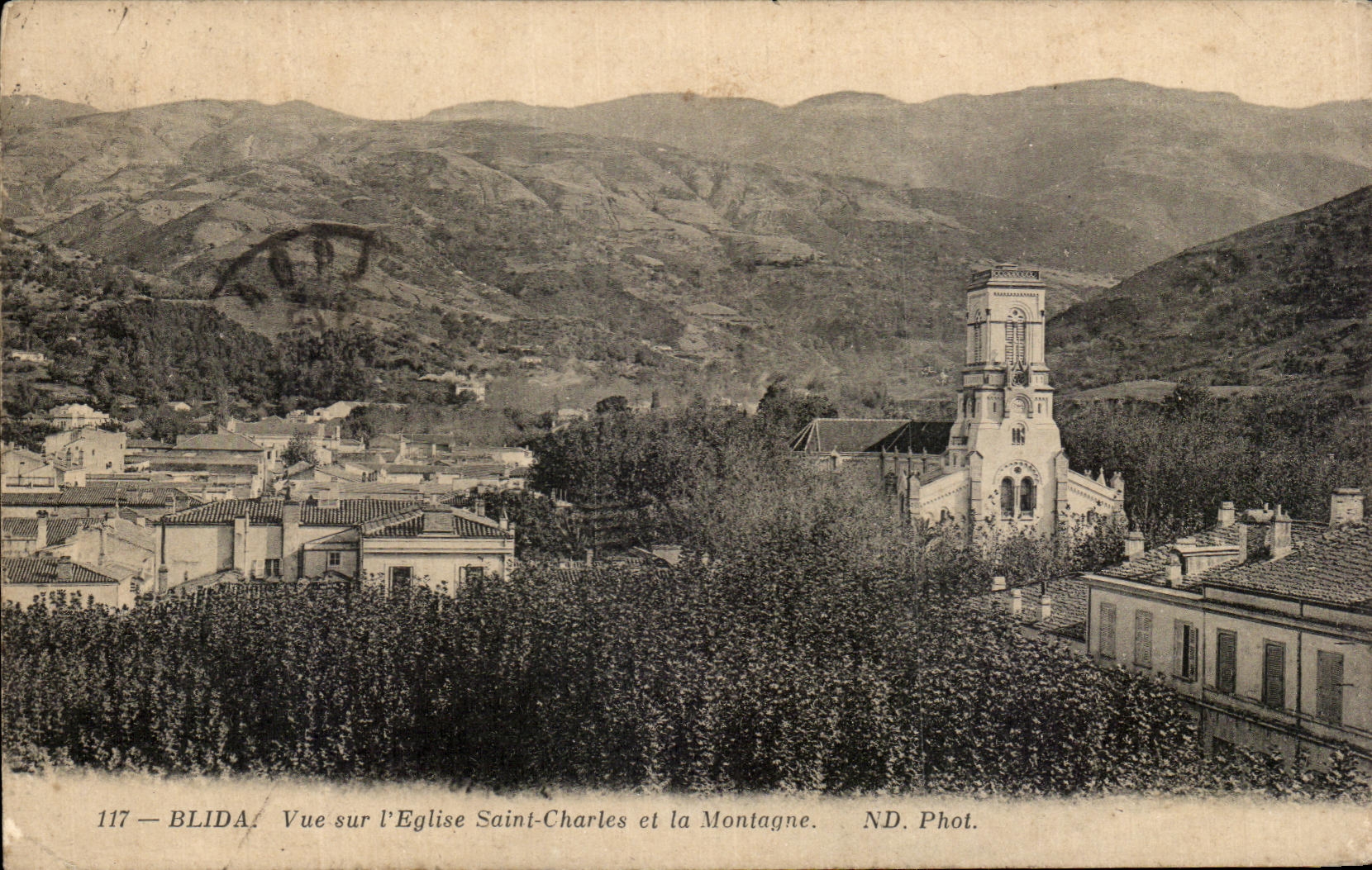 CPA Blida Vue Sur L'Eglise Saint Charles Et La Montagne