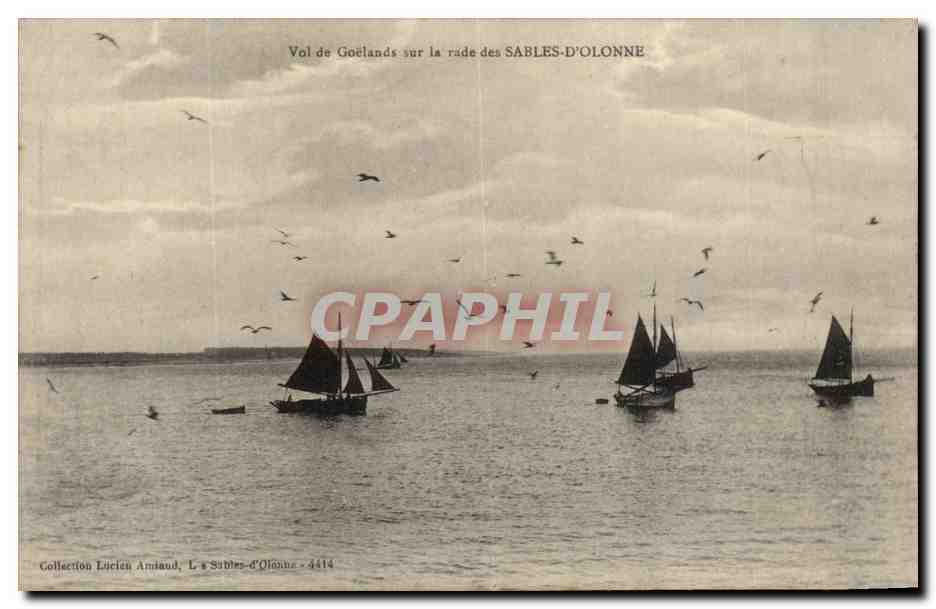 CPA Vol de Goelands sur la rade des Sables D'Olonne