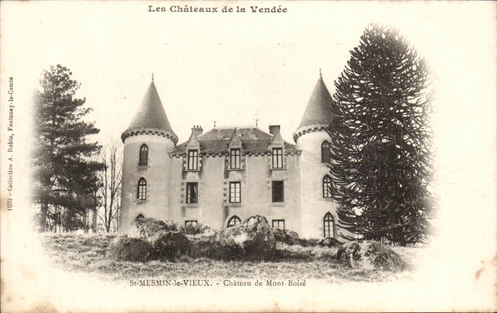 CPA Les Chateaux De La Vendee Saint Mesmin Chateau De Mont Boise