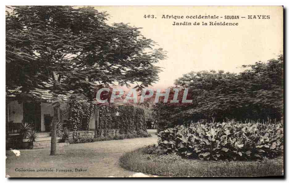 CPA Afrique Occidentale Soudan Kayes Jardin de la Residence