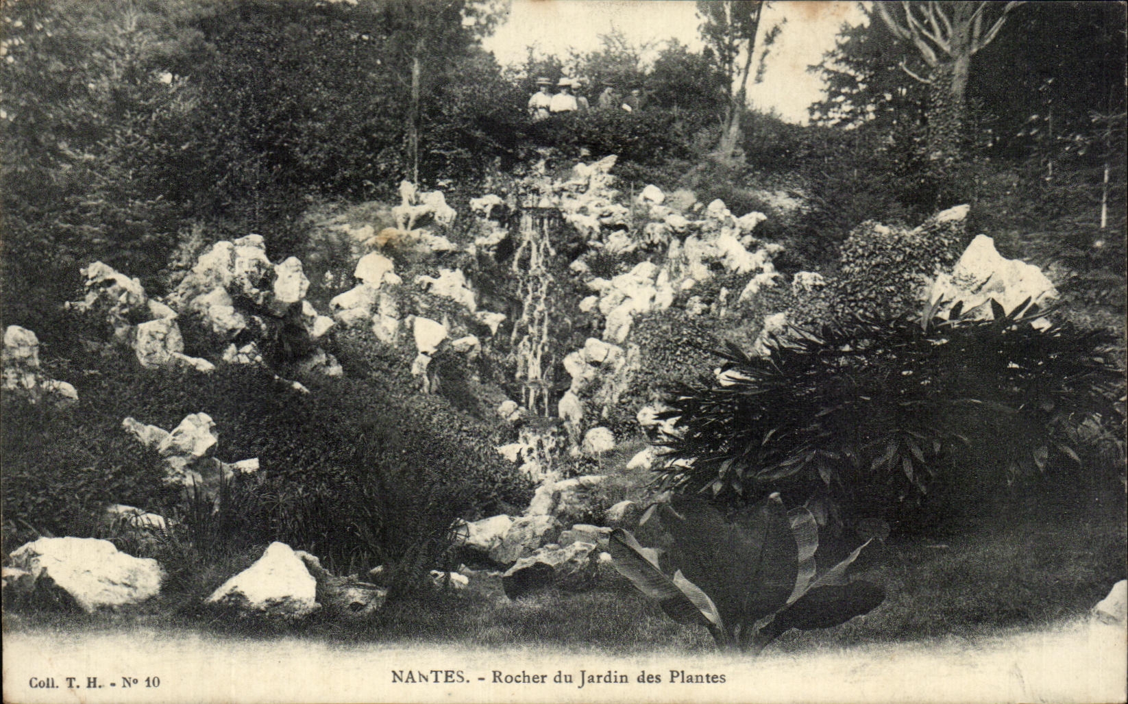 CPA Nantes Rocher du Jardin des Plantes