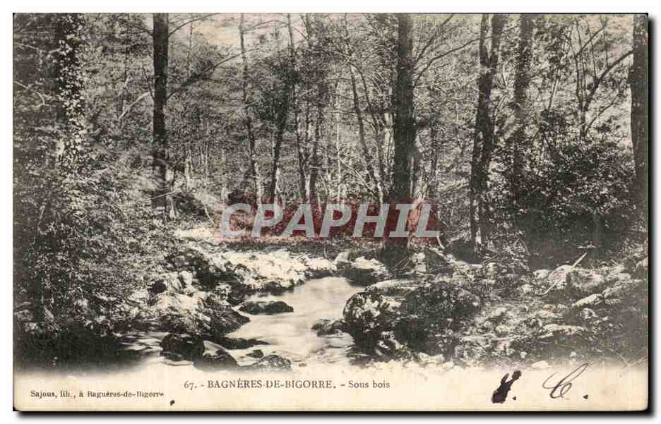 Sajous, à Bagnères-de-Bigorre — Sous bois — CPAPHIL
