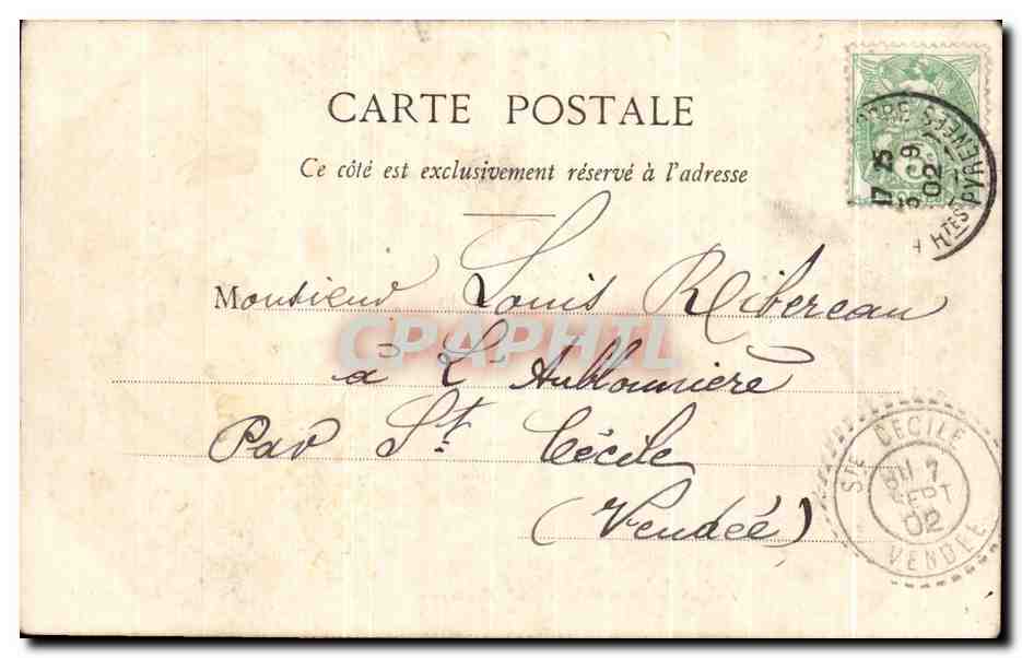 Sajous, à Bagnères-de-Bigorre — Sous bois — CPAPHIL — Verso