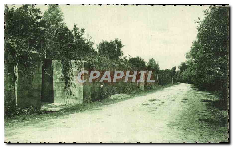 Route de Port-d'Envaux — Chaussée de Saint-James — Éditeur R. Bergerin, n°4027
