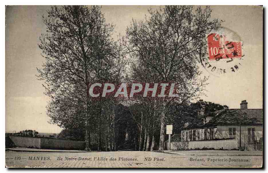 Mantes-la-Jolie - Île Notre-Dame, l'Allée des Platanes — ND Phot. — Bréant, Papeterie-Journaux