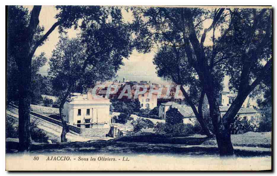 Ajaccio - Sous les Oliviers - L.L. n°80