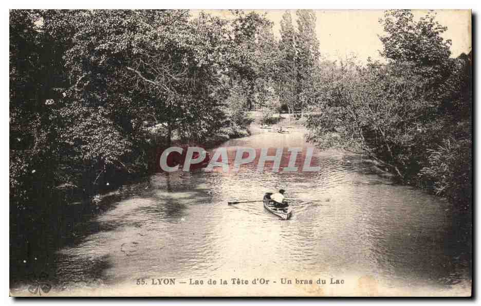 LYON — Lac de la Tête d'Or — Un bras du Lac