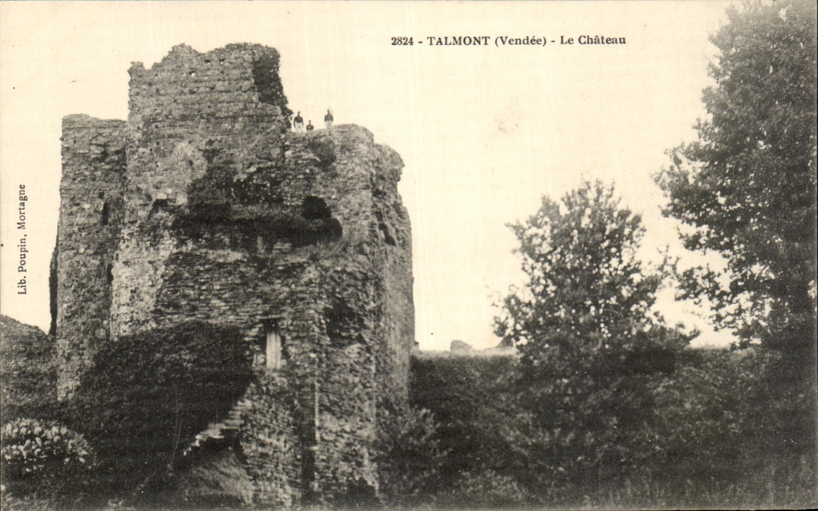 CPA Talmont Le Chateau