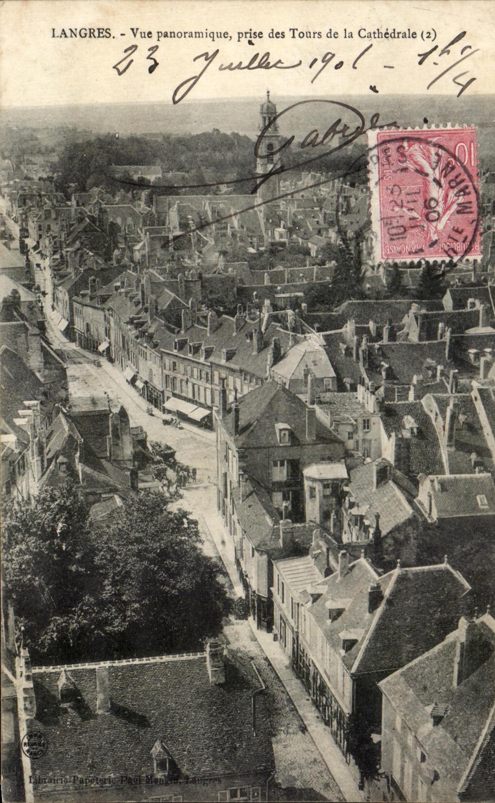 CPA Langres Vue Panoramique prise des Tours de la Cathedrale