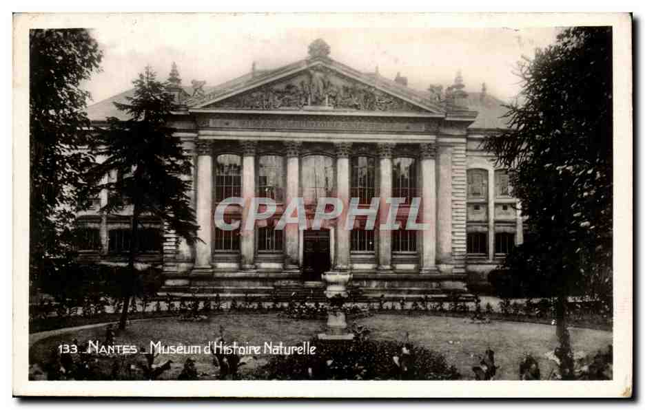 CPA Nantes Museum d'Histoire Naturelle
