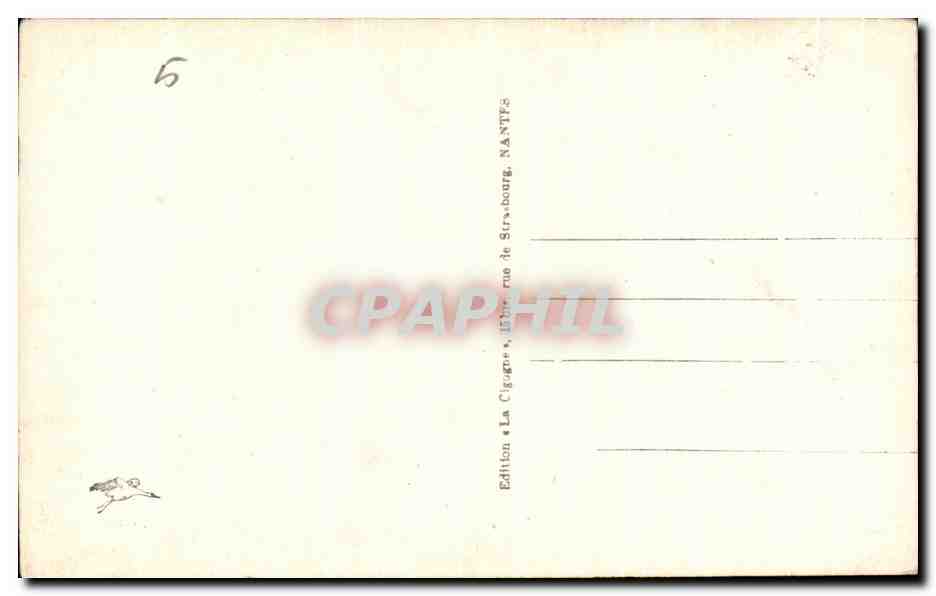 CPA Nantes Museum d'Histoire Naturelle — Verso