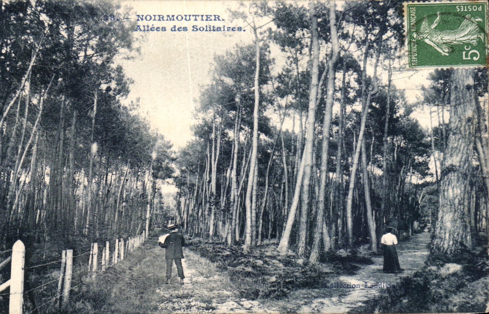 CPA Noirmoutier Allees des Solitaires