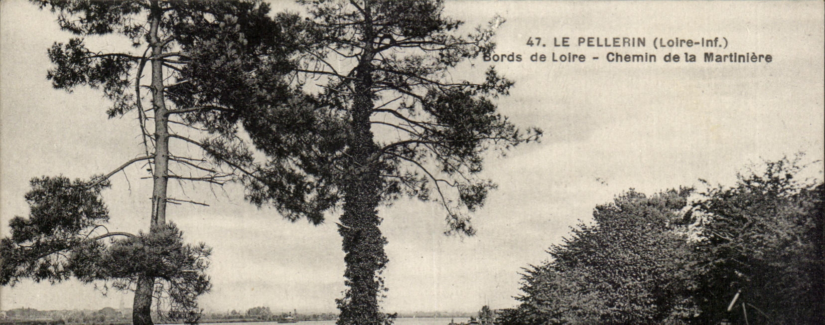 CPA Le Pellerin Bords de Loire Chemin de la Martiniere