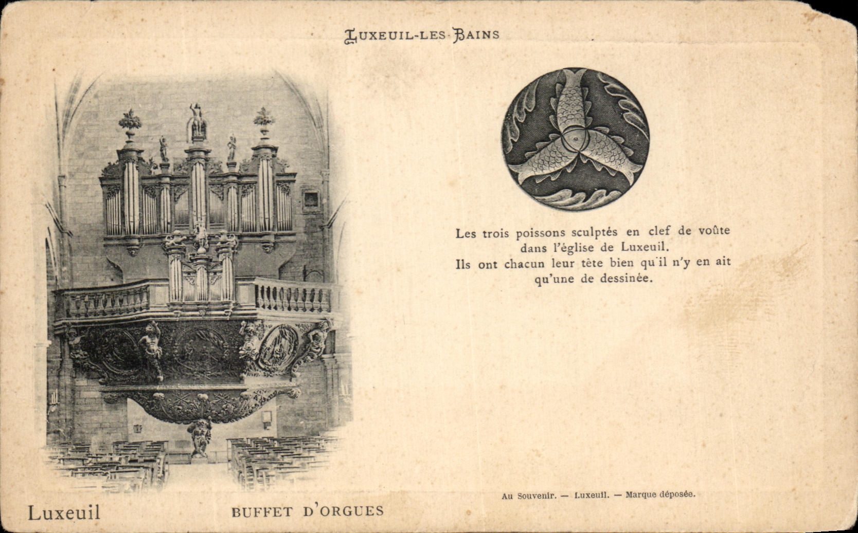 Vintage Postcard Luxeuil Les Bains Organ Pipe Buffet The Three Fishes