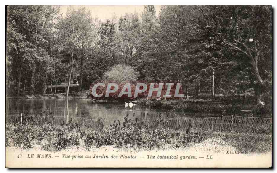 Le Mans — Vue prise au Jardin des Plantes — LL