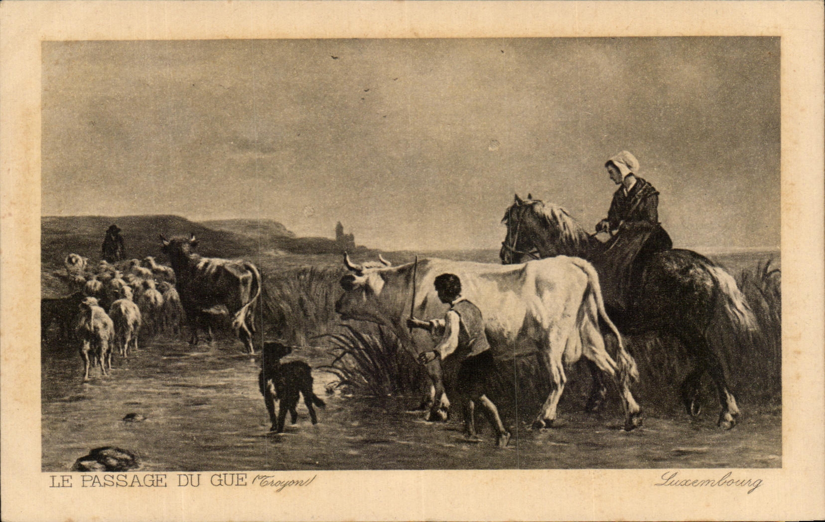 CPA Le Passage Du Gue Troyon Luxembourg Vaches