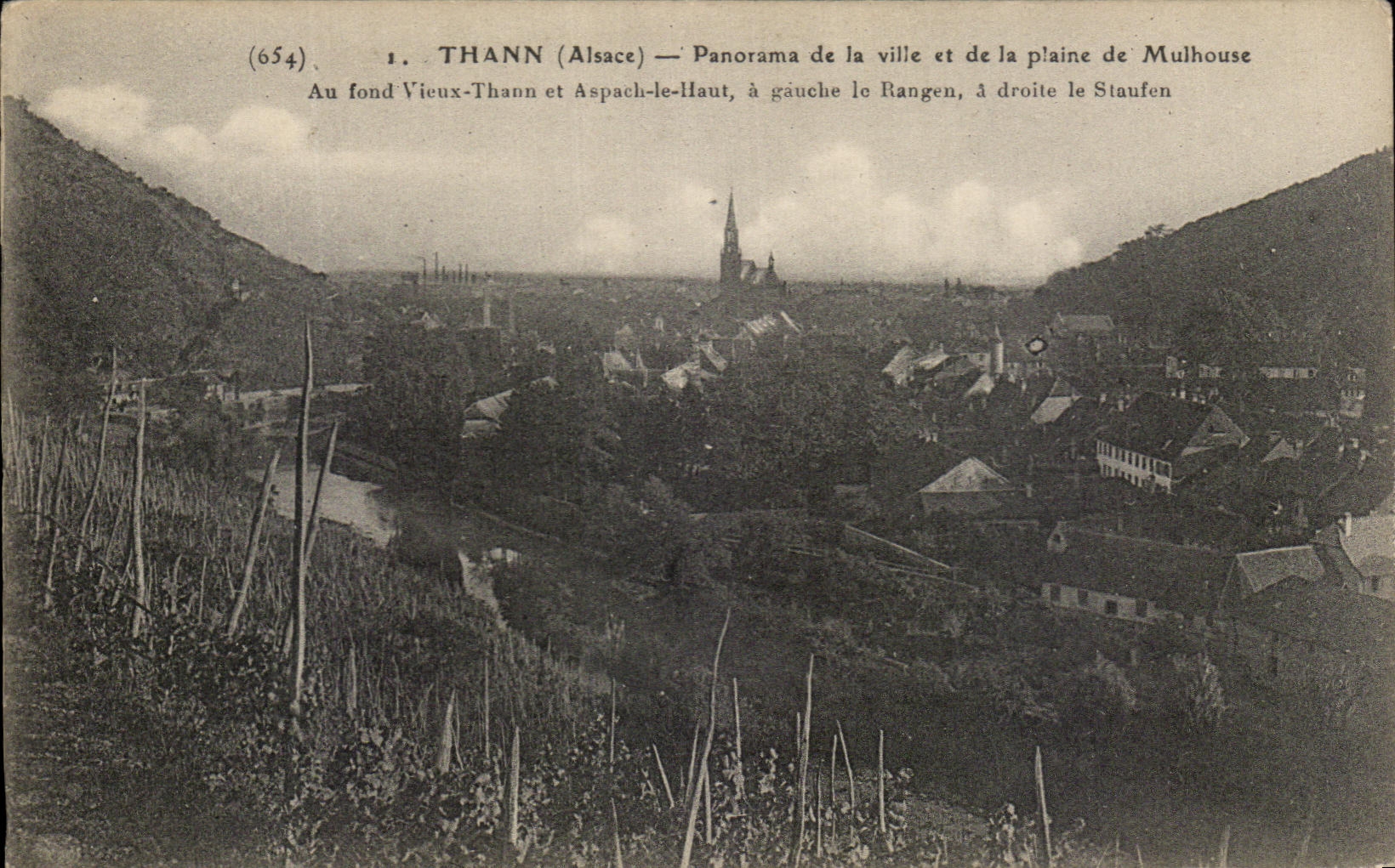 CPA Thann Panorama de la Ville et de la Plaine de Mulhouse Au fond Vieux Thann et Aspach le Haut 
