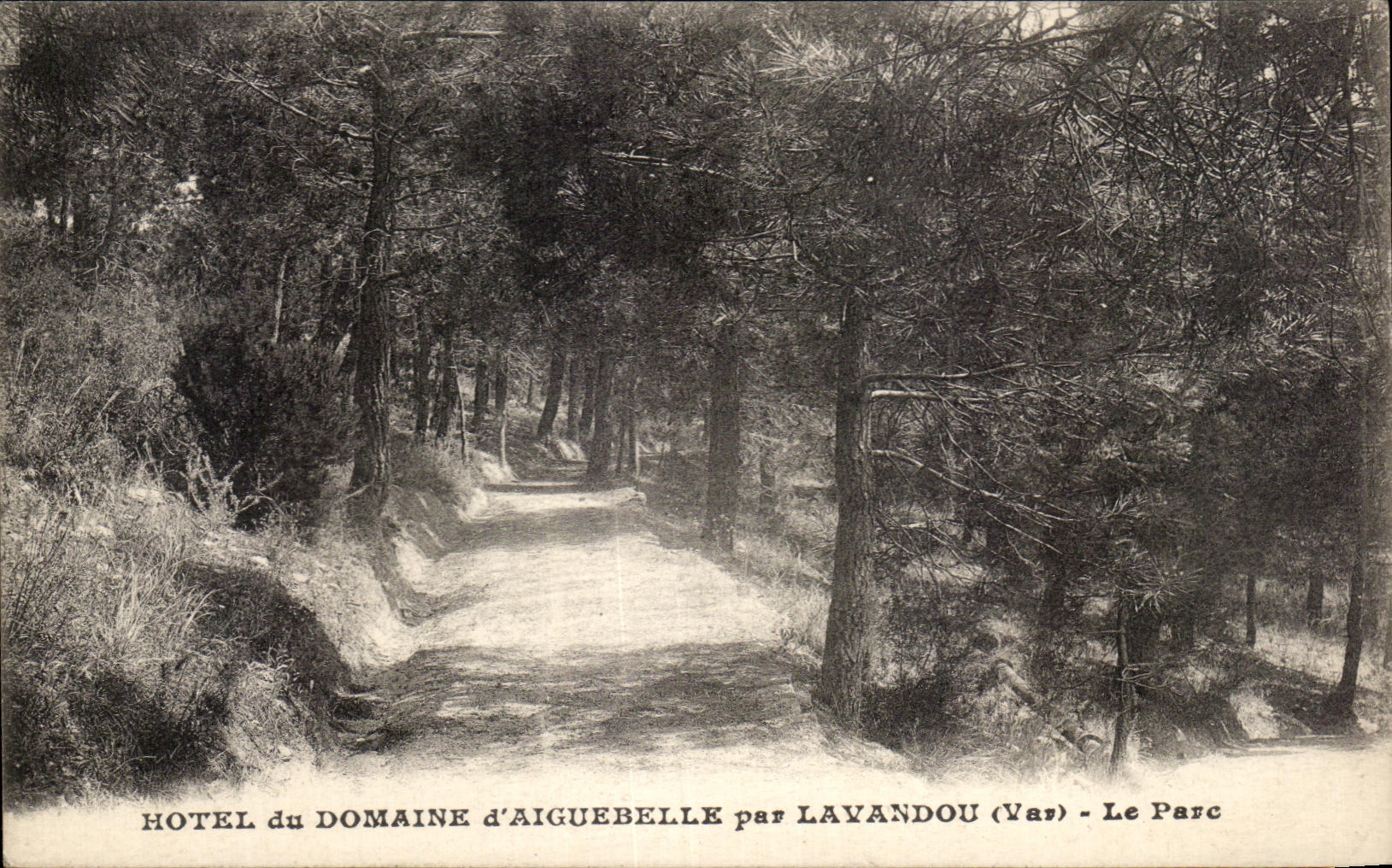 CPA Hotel du Domaine d'Aiguebelle Par Lavandou Le Parc 