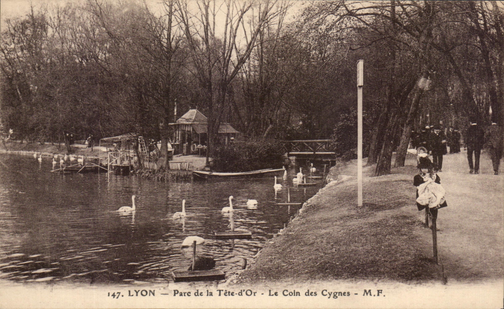 CPA Lyon Parc de la Tete d'or Le Coln des Cygnes 