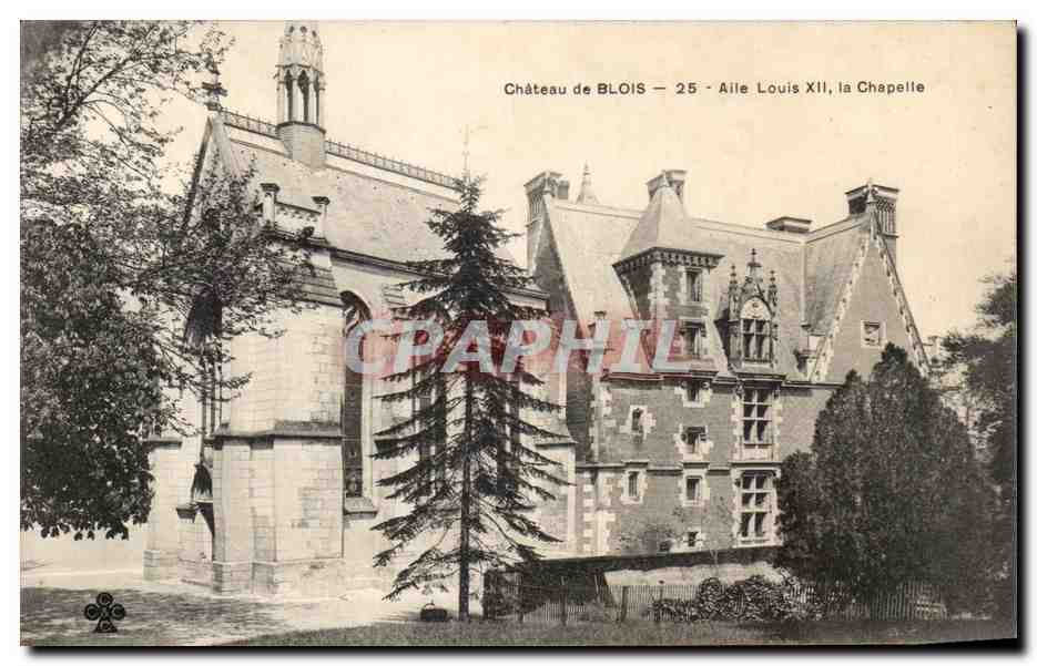 CPA Chateau de Blois Alle Louis XII La Chapelle