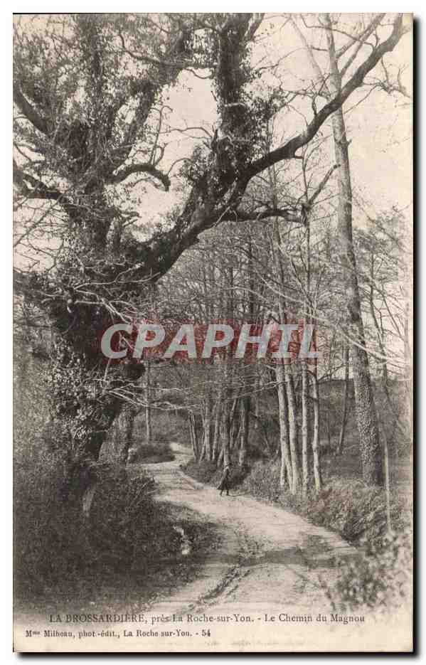 CPA La Brossardiere Pres la roche Sur Yon Le Chemin du Magnou 