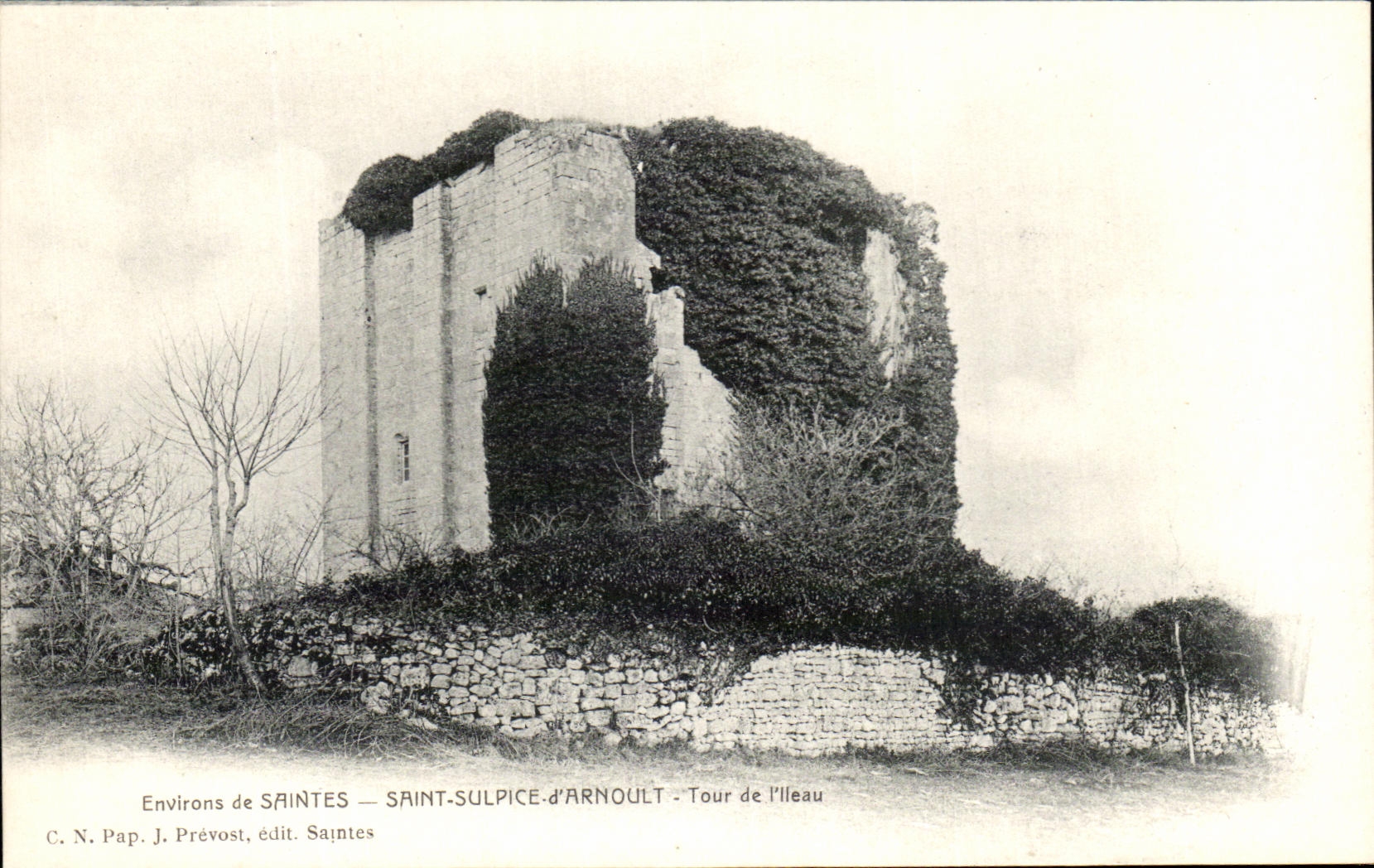 CPA Environs de Saintes Saint Sulpice d'Arnoult Tour de l'Ileau