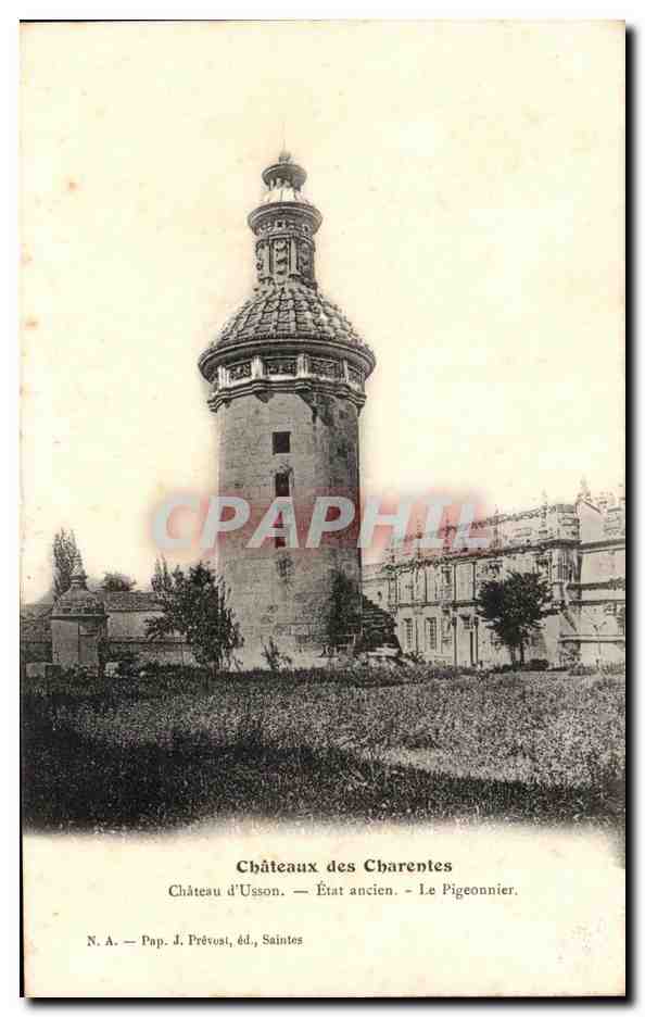 CPA Chateau d'Usson Etat ancien La pigeonnier Pigeon