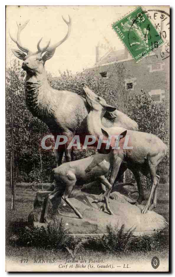 CPA Nantes Jardin des Plantes Cerf et biche 