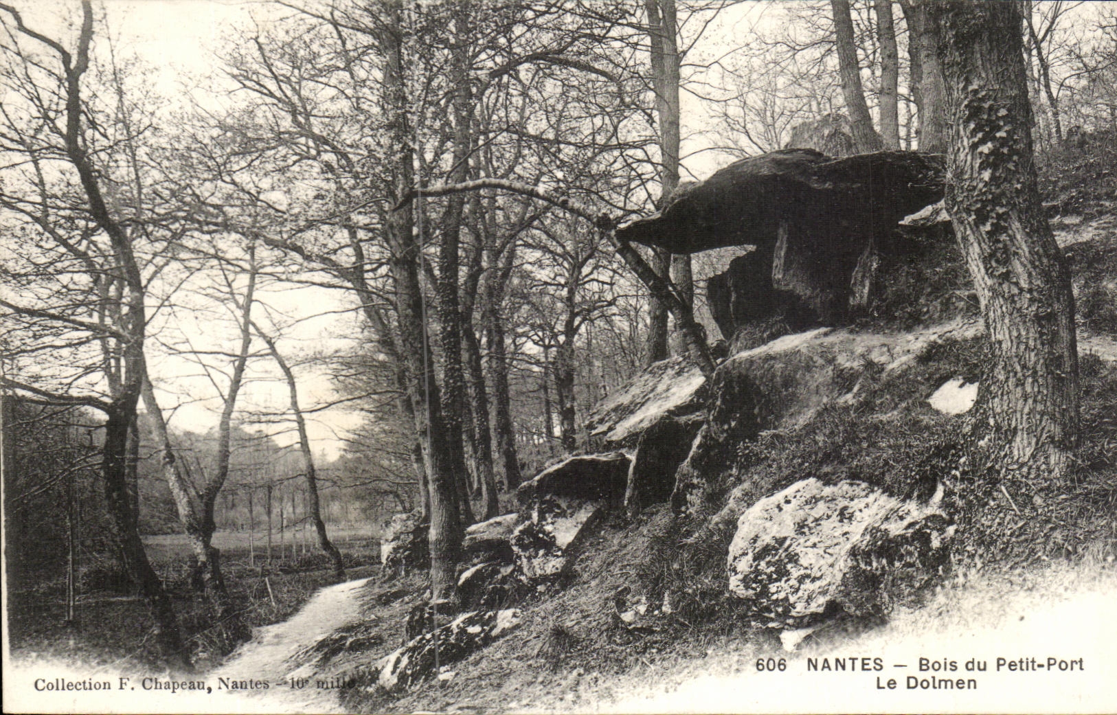 CPA Nantes Bois Du Petit Port Le Dolmen