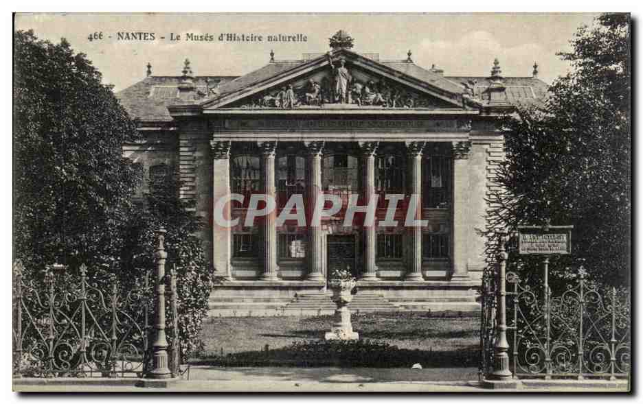 CPA Nantes Le Muses D'Histoire Naturelle