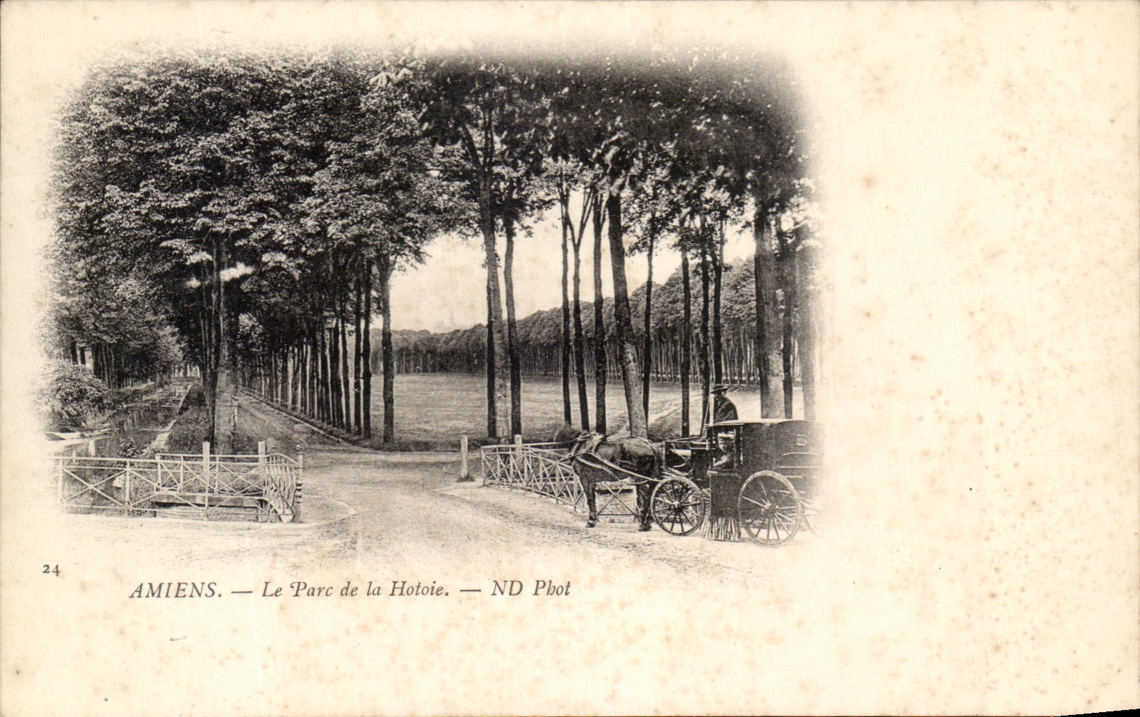 CPA Amiens Le Parc de la Hotoie Caleche