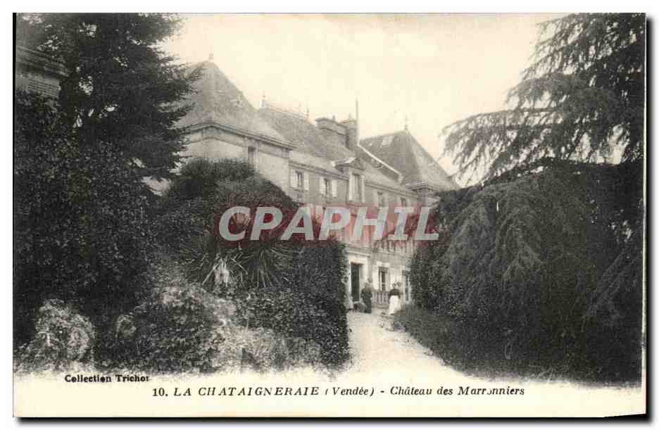 CPA La Chataigneraie Chateau des Pont Marronniers
