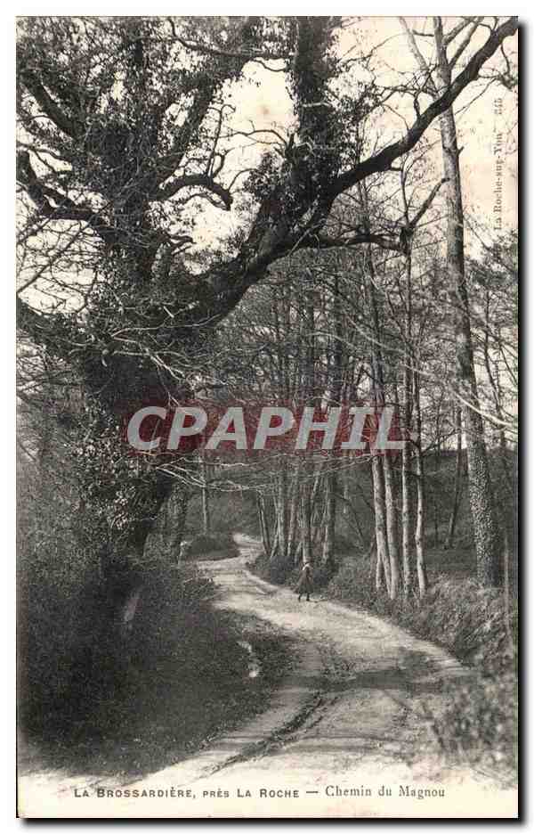 CPA La Brossardiere Pres La Roche Chemin du Magnou 