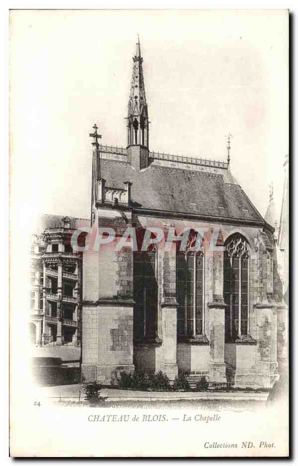 CPA Chateau de Blois La Chapelle 