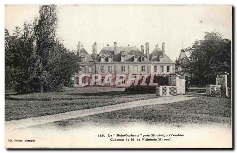 CPA Le Bois Corbeau Pres Montaigu Chateau de Villebois Mareuil 