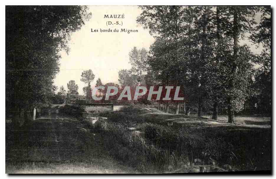 CPA Mauze Les bords du Mignon