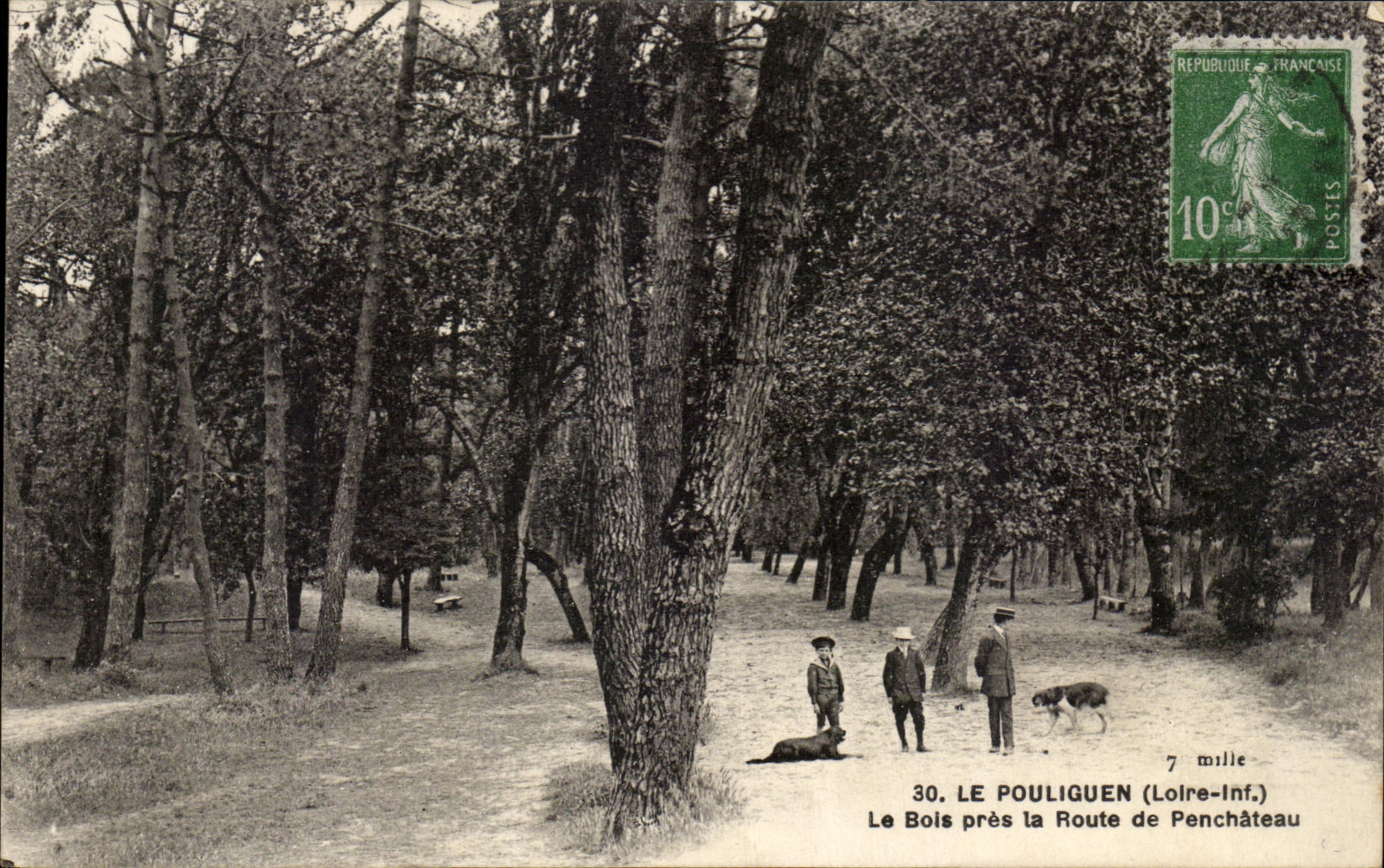 CPA Le Pouliguen Le Bois pres la Route de Penchateau