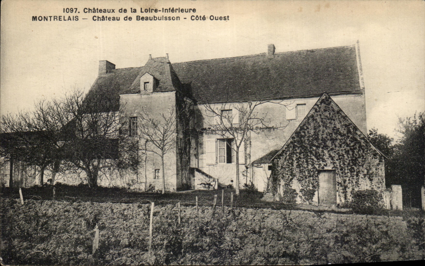 CPA Chateaux de La Loire Interieure Montrelais Chateau de Beaubuisson Cote ouest