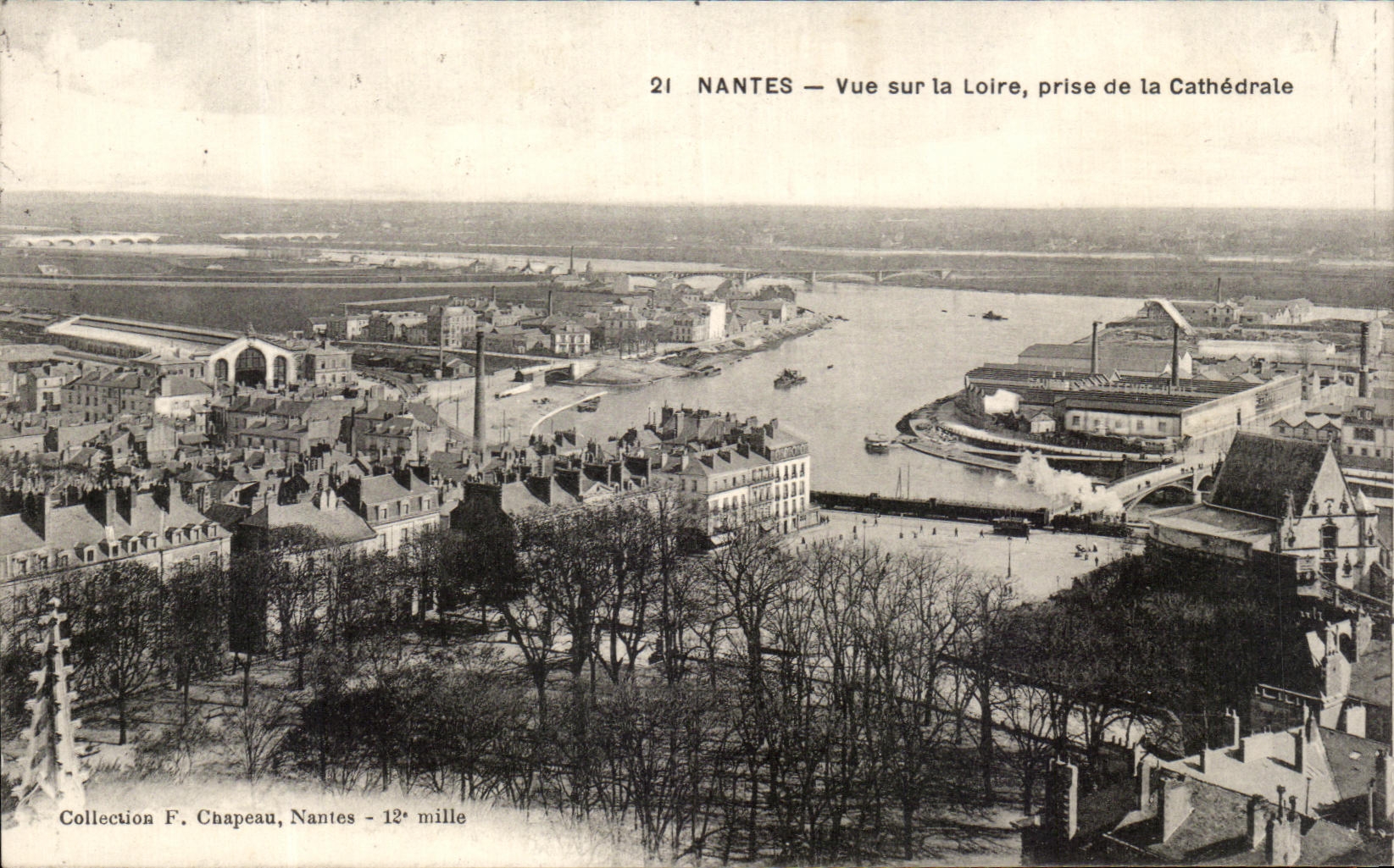 CPA Nantes Vue sur la Loire Prise de la Cathedrale