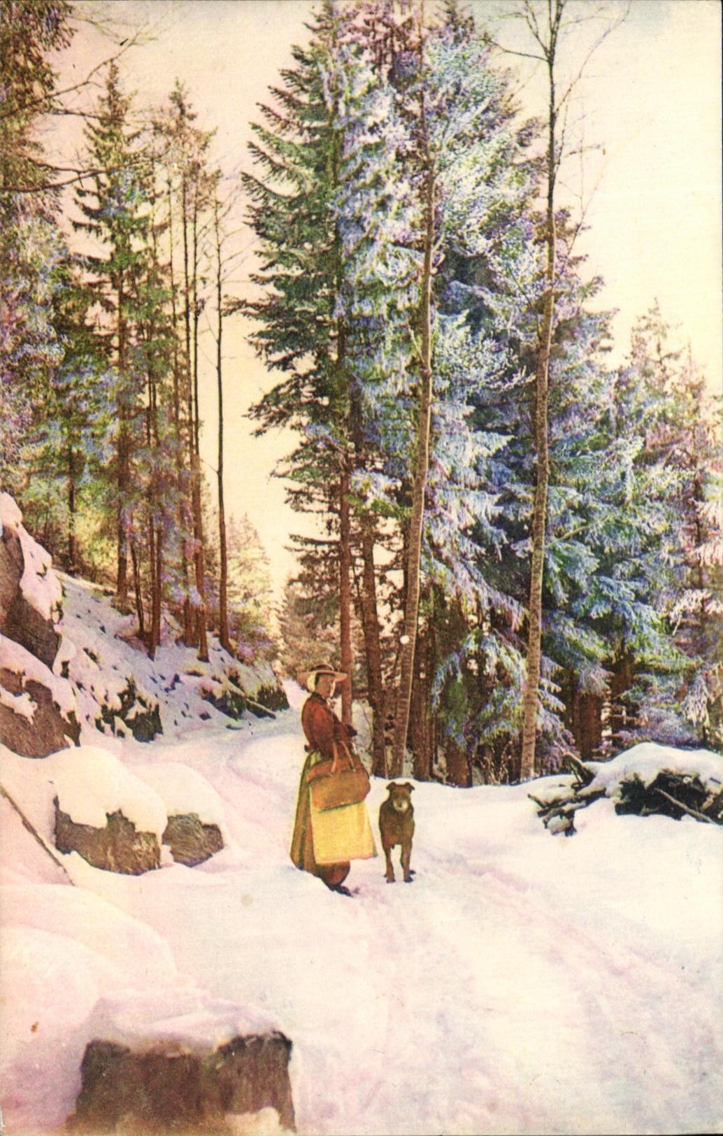 CPA Serie Effet de Neige Les Sapins