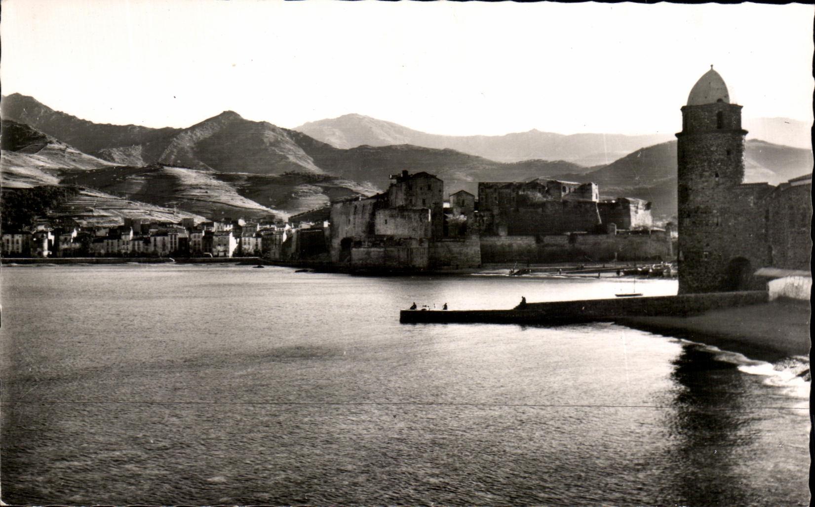 CPA Collioure L'Eglise et les Alberes