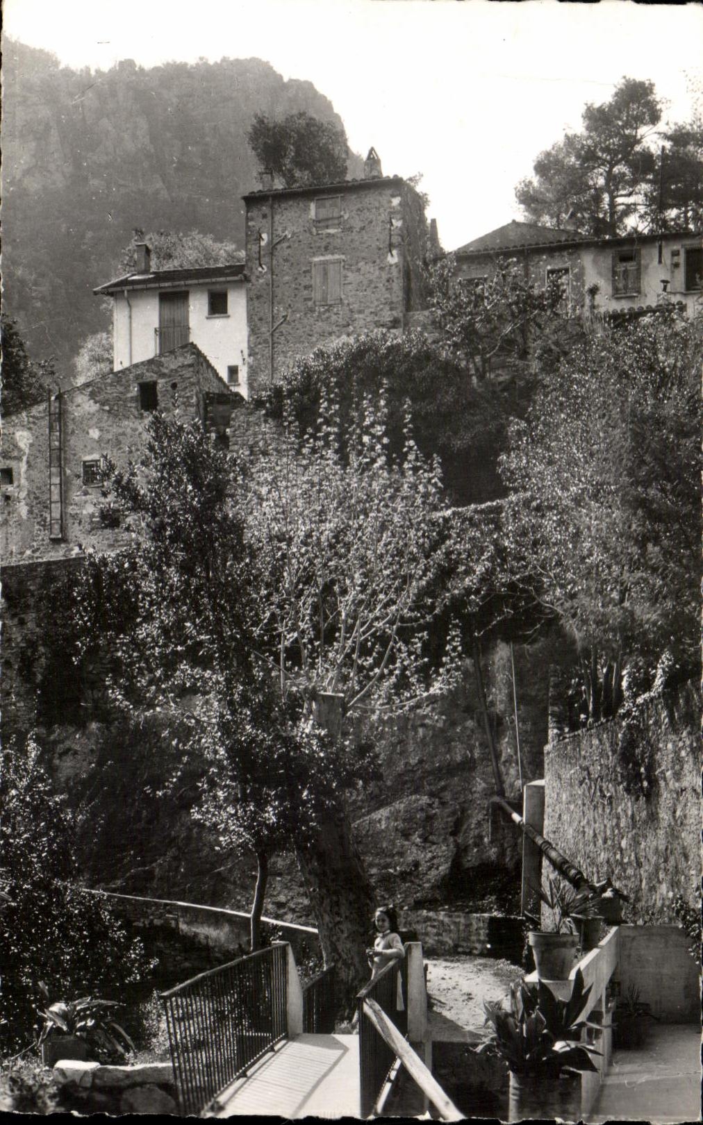 CPA Anelie les Bains Le viel Amelie Chemin des Gorges