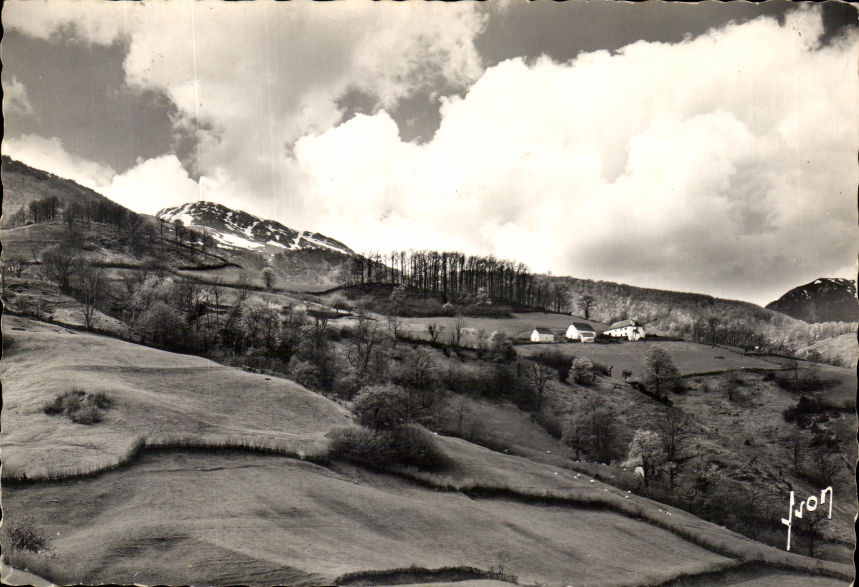 CPM Le Pays Basque Larrau Vue vers le Pic d'Orhy 