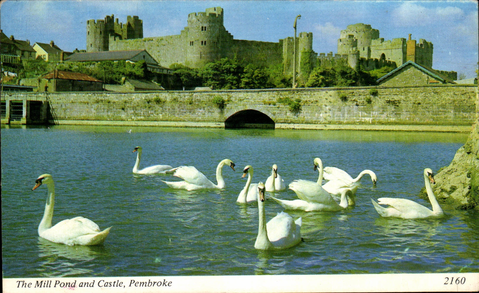 CPA The Mill Pond and Castle Pembroke Cygnes Guinness is good 